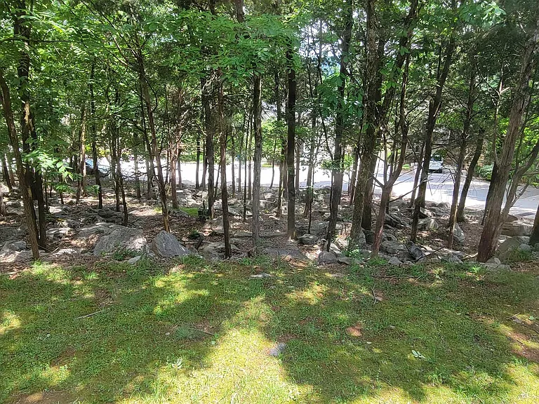 207 Mountain Ridge Dr #4 — Photo 24