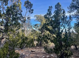 126 S Mountain Rd, Edgewood, NM 87015