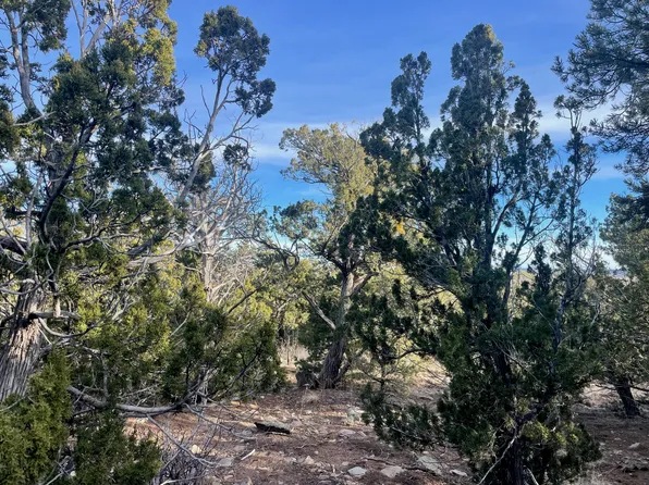126 S Mountain Rd, Edgewood, NM 87015