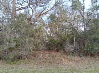 SW 204th Ave LOT 17, Dunnellon, FL 34431