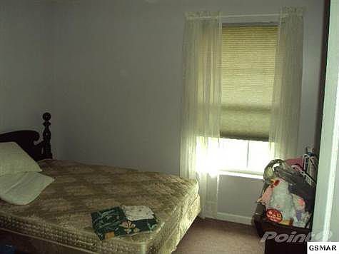 3rd image of 555 Delores Dr
