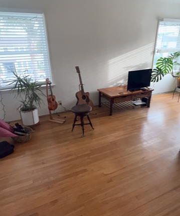 spacious living room with lots of light and an ocean breeze (about 14' x 17')