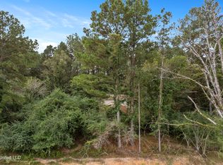 PARCEL Highway 42 #A, Richton, MS 39476