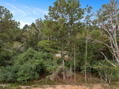 PARCEL Highway 42 #A, Richton, MS, 39476