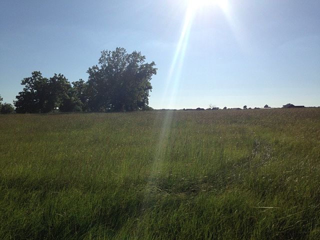 1st image of 16091 County Road 424