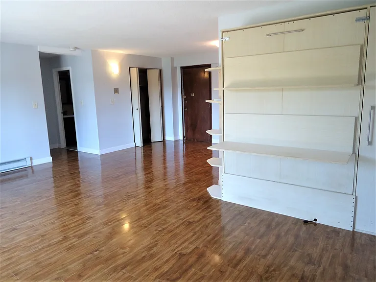 Closed Murphy Bed showing shelving area.