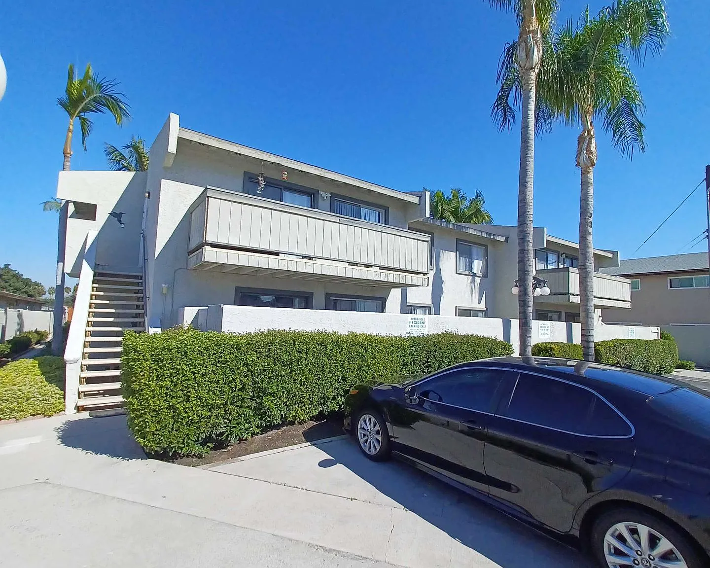 The Palms — Photo 1