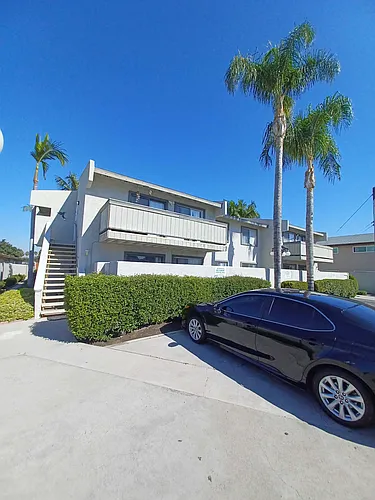 The Palms Photo 1