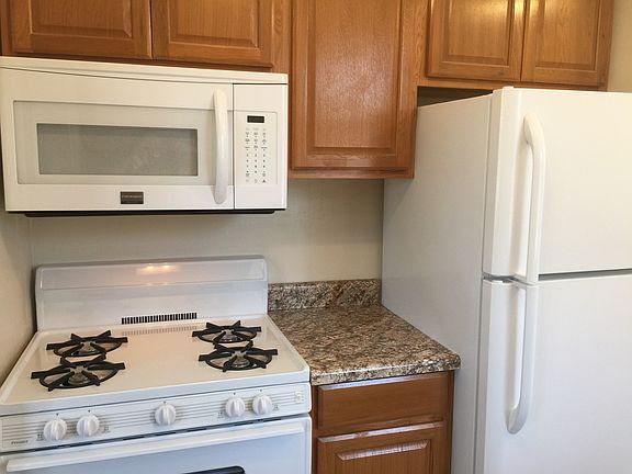 Bright New Kitchen