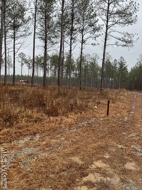 2nd image of 0 Regional Airport Rd