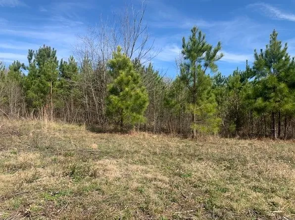 1 State Highway 225n Lot 2-3, Chatsworth, GA 30705