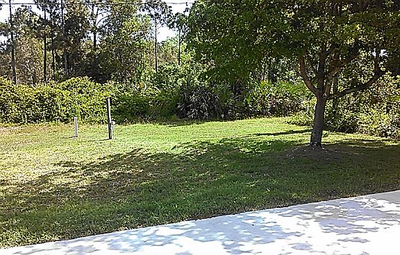 Backyard Backs up To Park