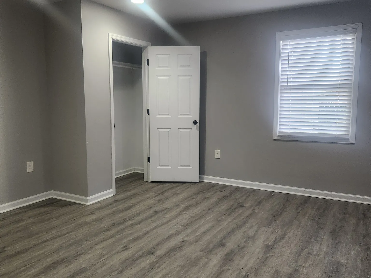 1 bed, $900 — Photo 3