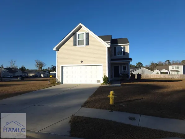 143 Nettleton Ln, Richmond Hill, GA 31324