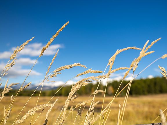 107th image of this home