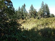 37893 E Grant St, Lebanon, OR 97355 | Zillow