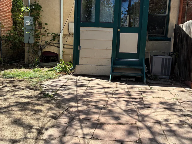 Back yard