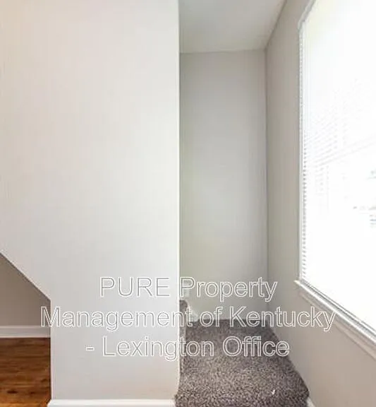 817 Marcellus Dr — Photo 19