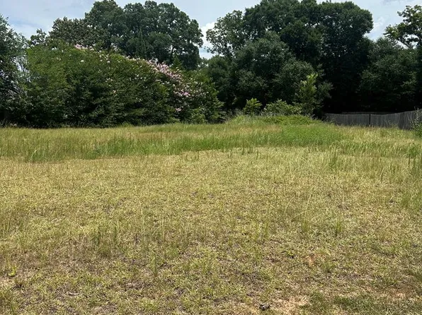 300 Rosa Ln, Midland City, AL 36350