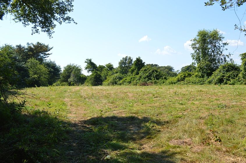 1st image of Horseneck Road
