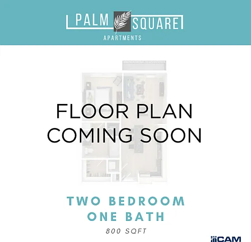 Palm Square — Photo 10
