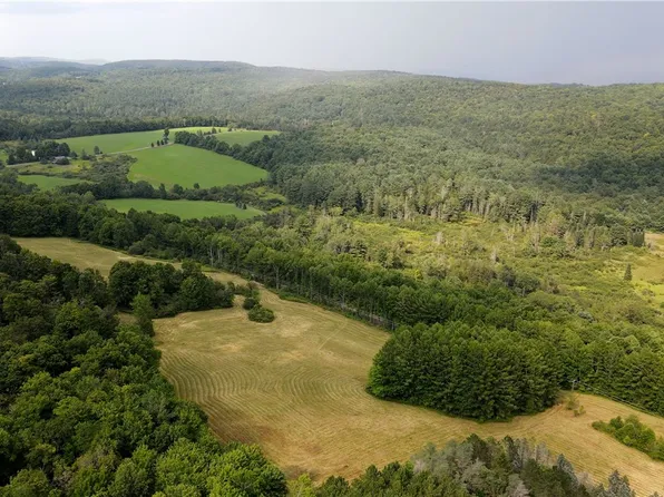 Goddards Rd, Mount Vision, NY 13810