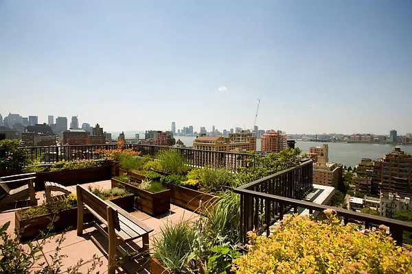 Rented by Douglas Elliman | media 14