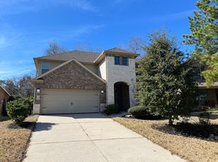 146 Black Swan Place The, Magnolia, TX 77354