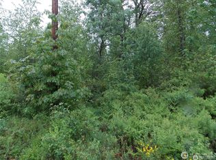 213 358th St E, Roy, WA 98580