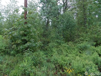 213 358th Street E, Roy, WA, 98580