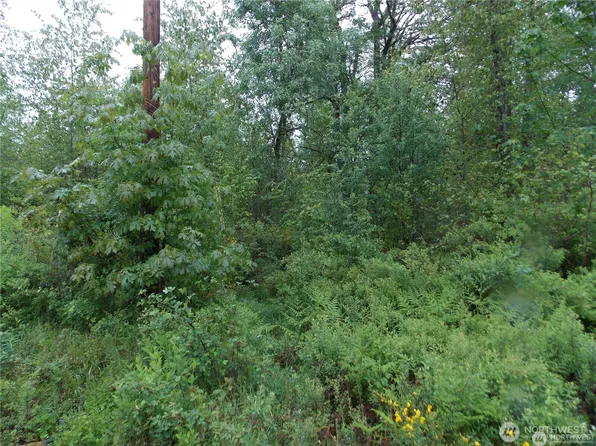 213 358th Street E, Roy, WA 98580