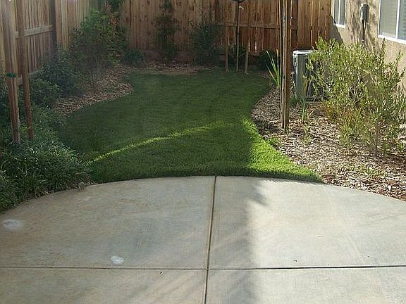 Beautifully Landscaped Backyard