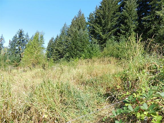 Hillside looking Northeast>