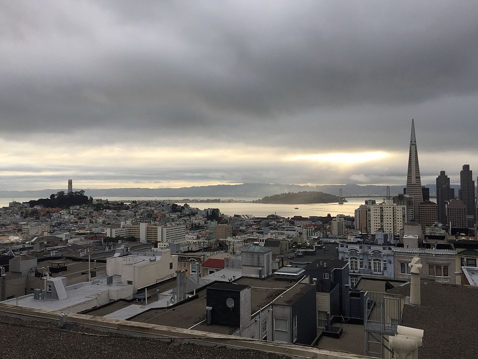 View from Shared Roof Top Patio