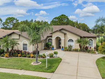 1634 Winding Willow Dr, New Port Richey, FL, 34655