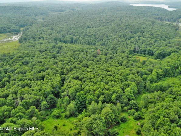 13 Mitchel Road, White Lake, NY 12786