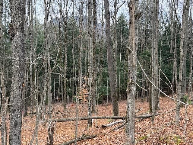 2nd image of 00 Maxfield Road