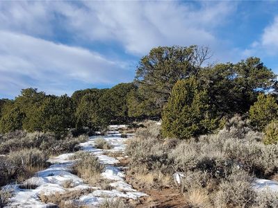 Lot 7265 Tiernan Road LOT 7265, Fort Garland, CO, 81133