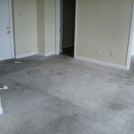 4th image of 11 Lawrence St Suite 703