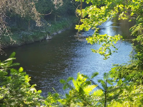 LOT 11 S River Ln, Millersburg, MI 49759