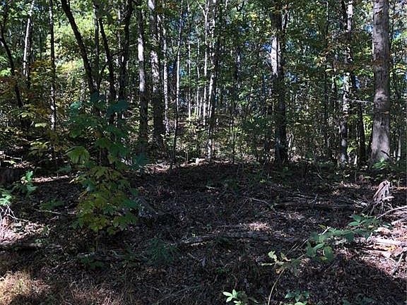 5th image of 139 Lumpkin View Dr Lot 139