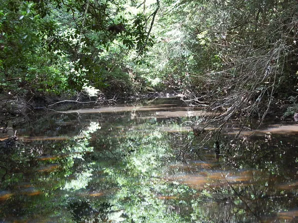 271 Anderson Rd, Palmer, TN 37365