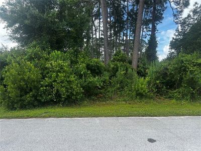 24 Bannerwood Ln Lot 62, Palm Coast, FL, 32137
