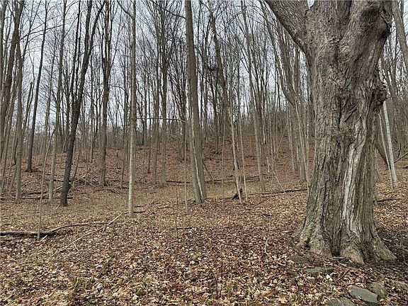 3rd image of 1592 Emerson Rd