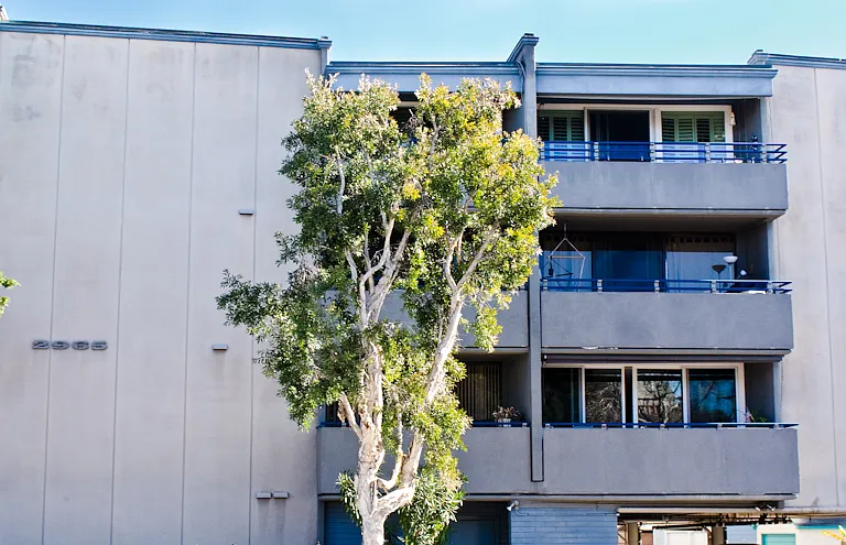 2965 Mission Blvd #3B — Photo 18