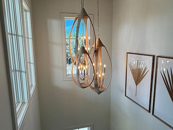 5th image of 58 String Lily Cv