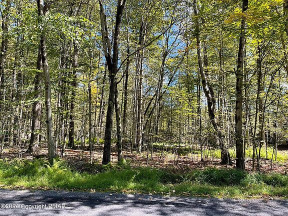 3rd image of 7-1903-19 Maxatawny Dr