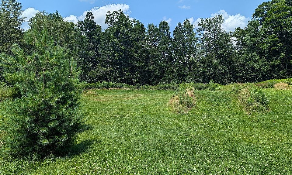 Open field