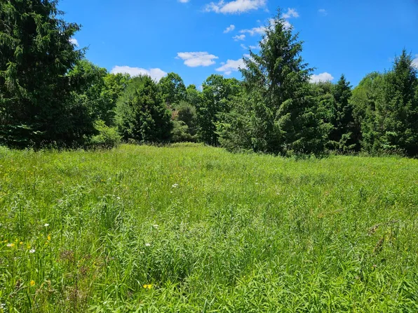 0 Pierce Hill Rd, Franklinville, NY 14737