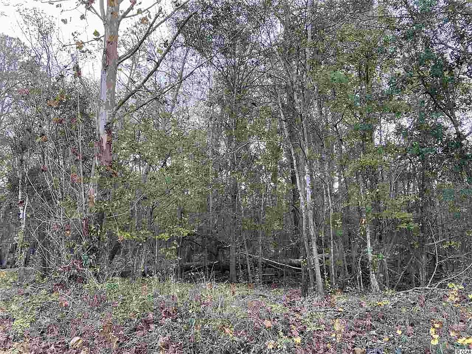 1st image of 1067 Waccamaw Dr